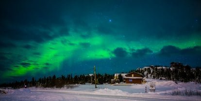 Contactanos para reservar estos cruceros en Alaska (Agosto 2025): Una Experiencia Única en la Última Frontera